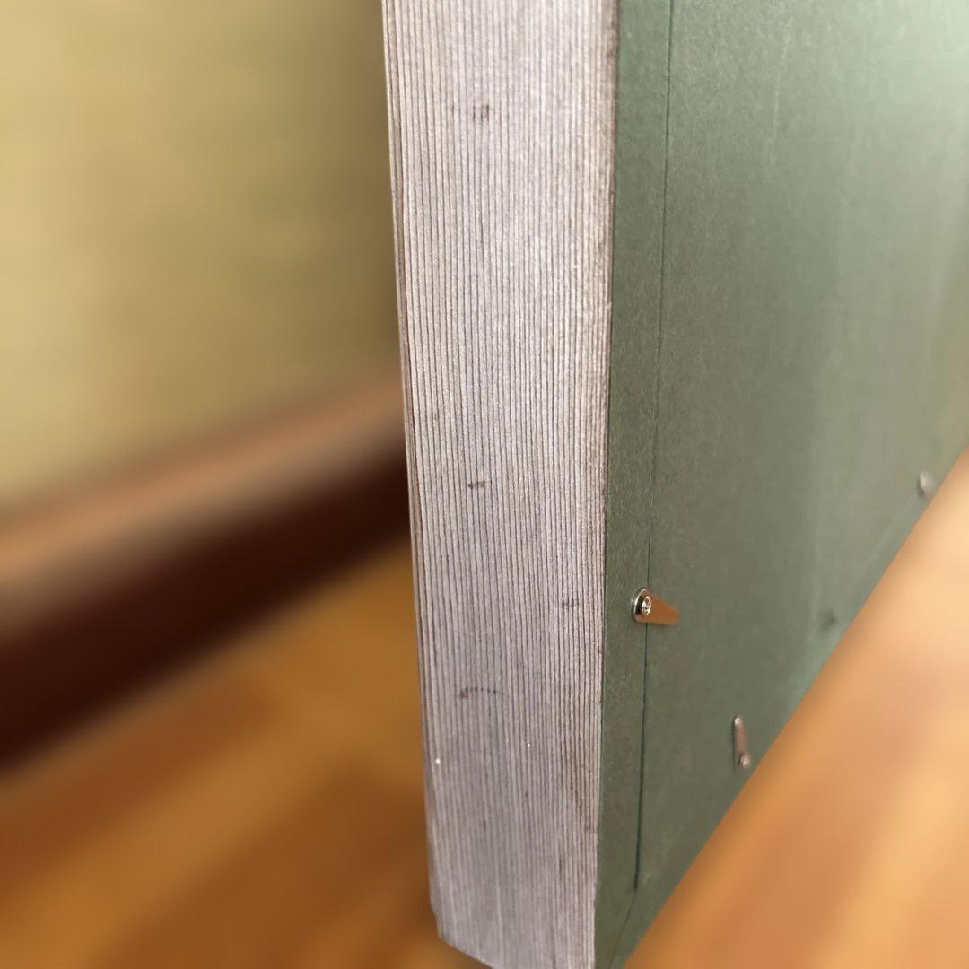 絵画　月下美人　　⚠️素人画