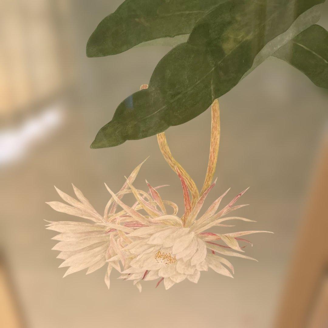 絵画　月下美人　　⚠️素人画