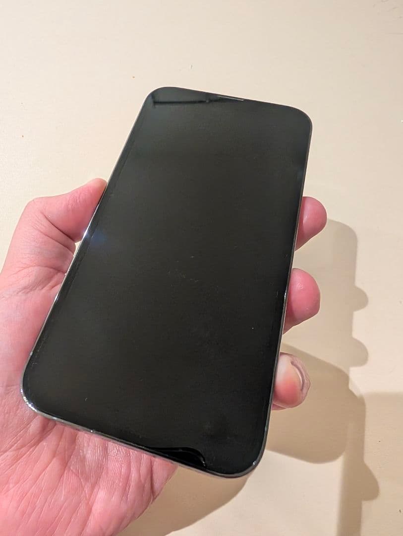 秋*様 Apple iPhone 13 Pro 256GB シエラブルー 本体