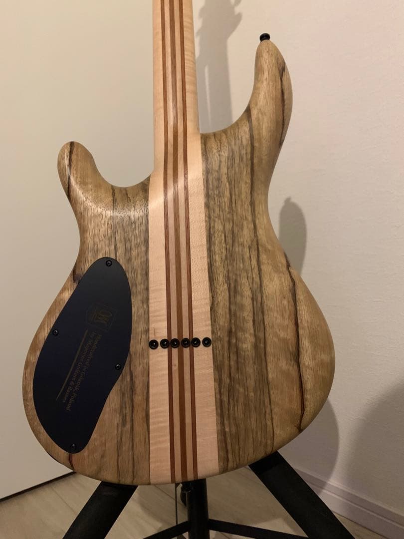 ギター MAYONES Regius 6K [custom order model]