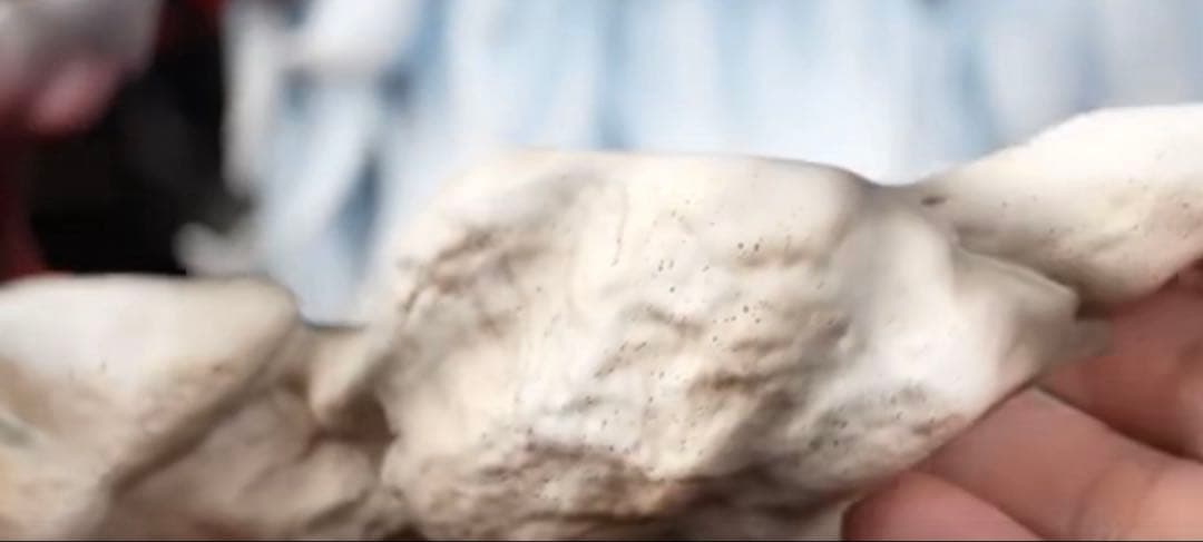 年末セール❗️海外限定品 チェンソーマン 早川アキ21㎝　オマージュ　フィギュア