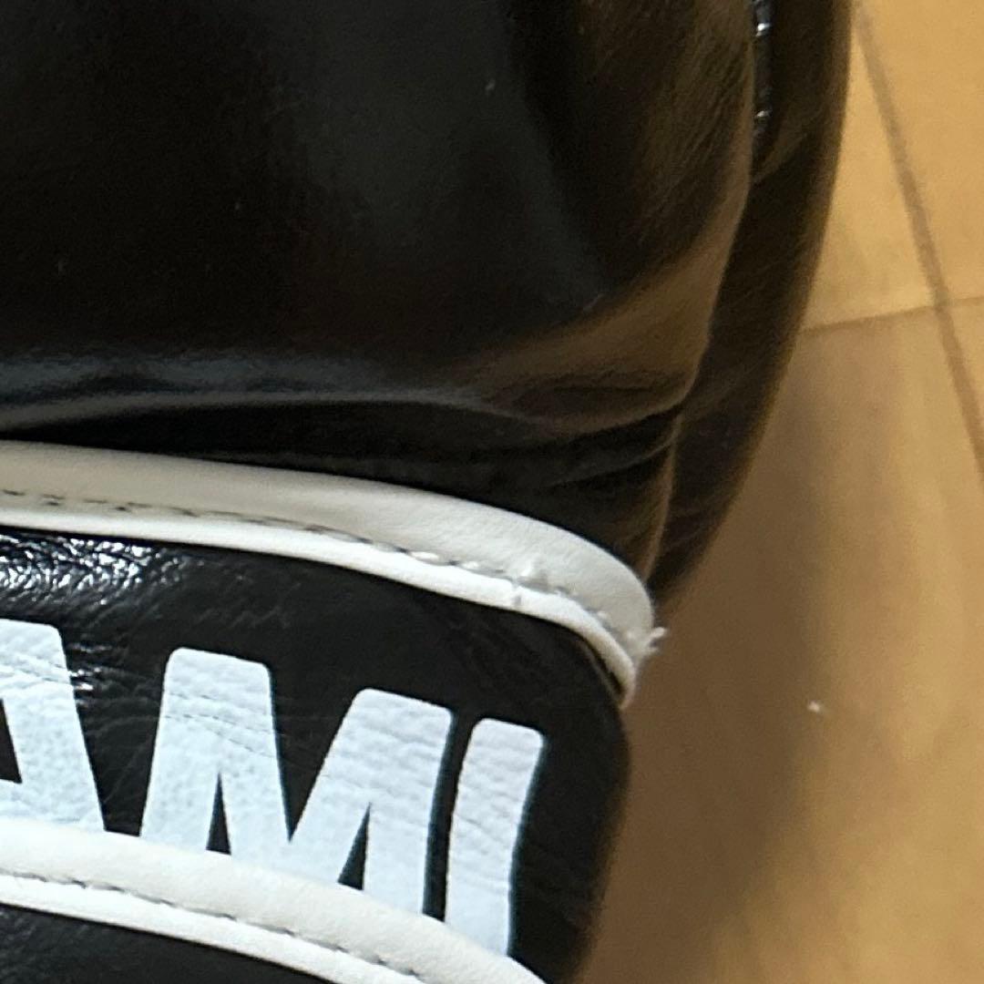 ISAMI パウンドグローブ 黒 Fサイズ