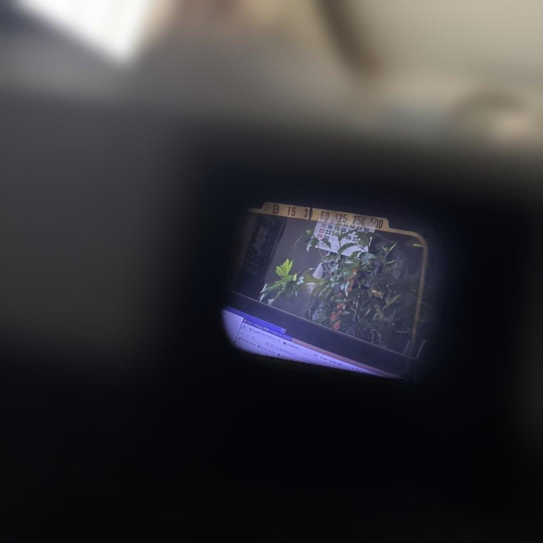 Olympus 35 RC フィルムカメラ