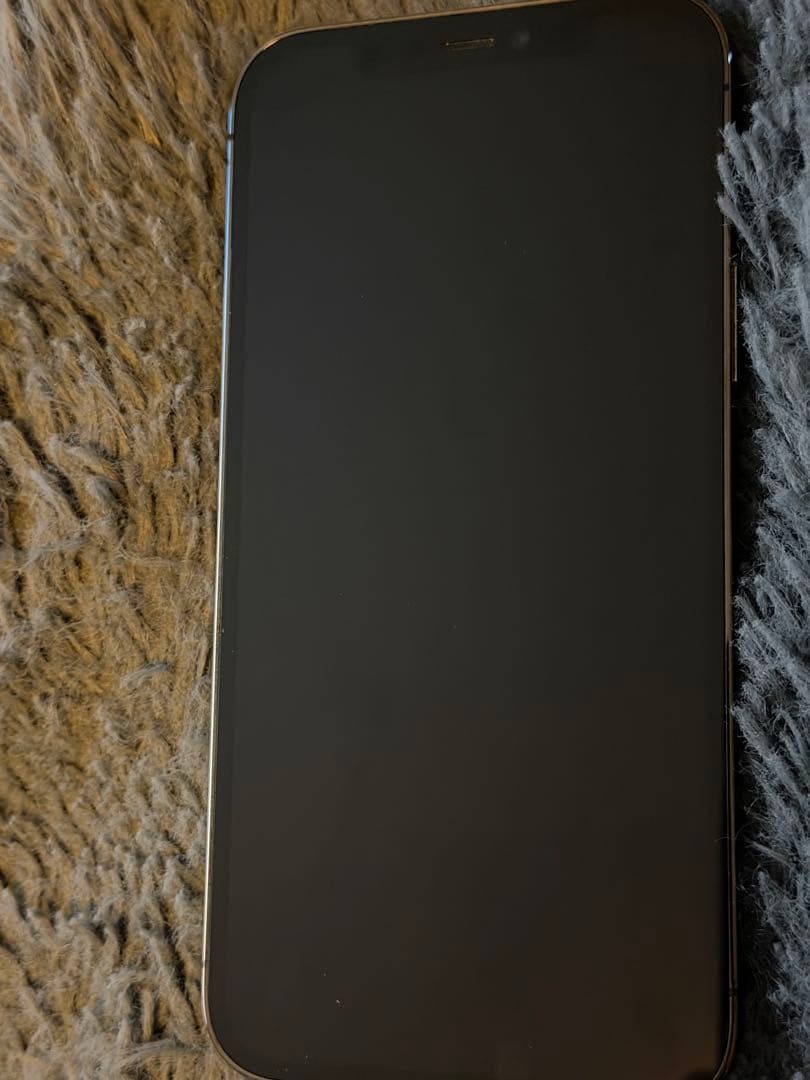 Apple iPhone 12 Pro SIM解除済み