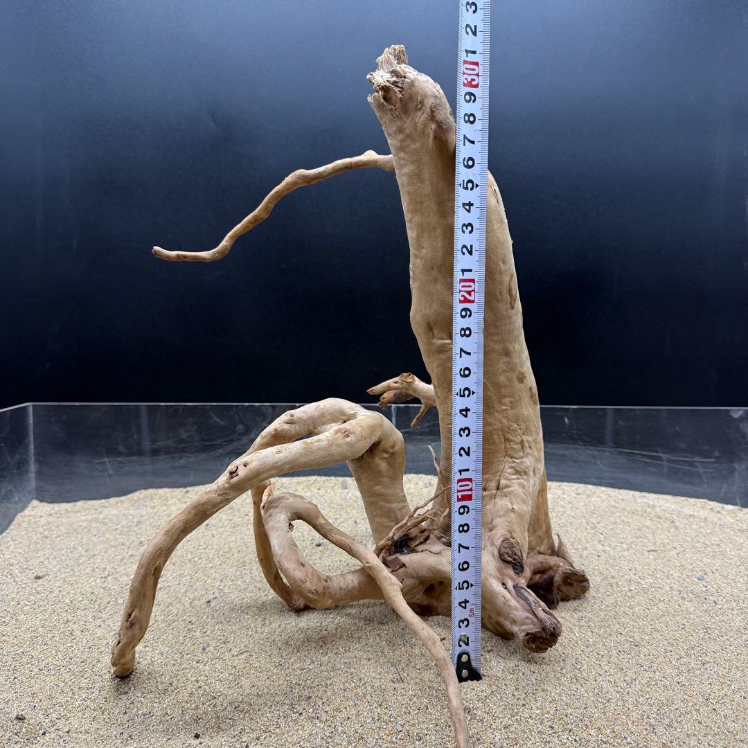 MDW-7161 特大ブランチウッド3本セット　流木　枝流木　アクアリウム