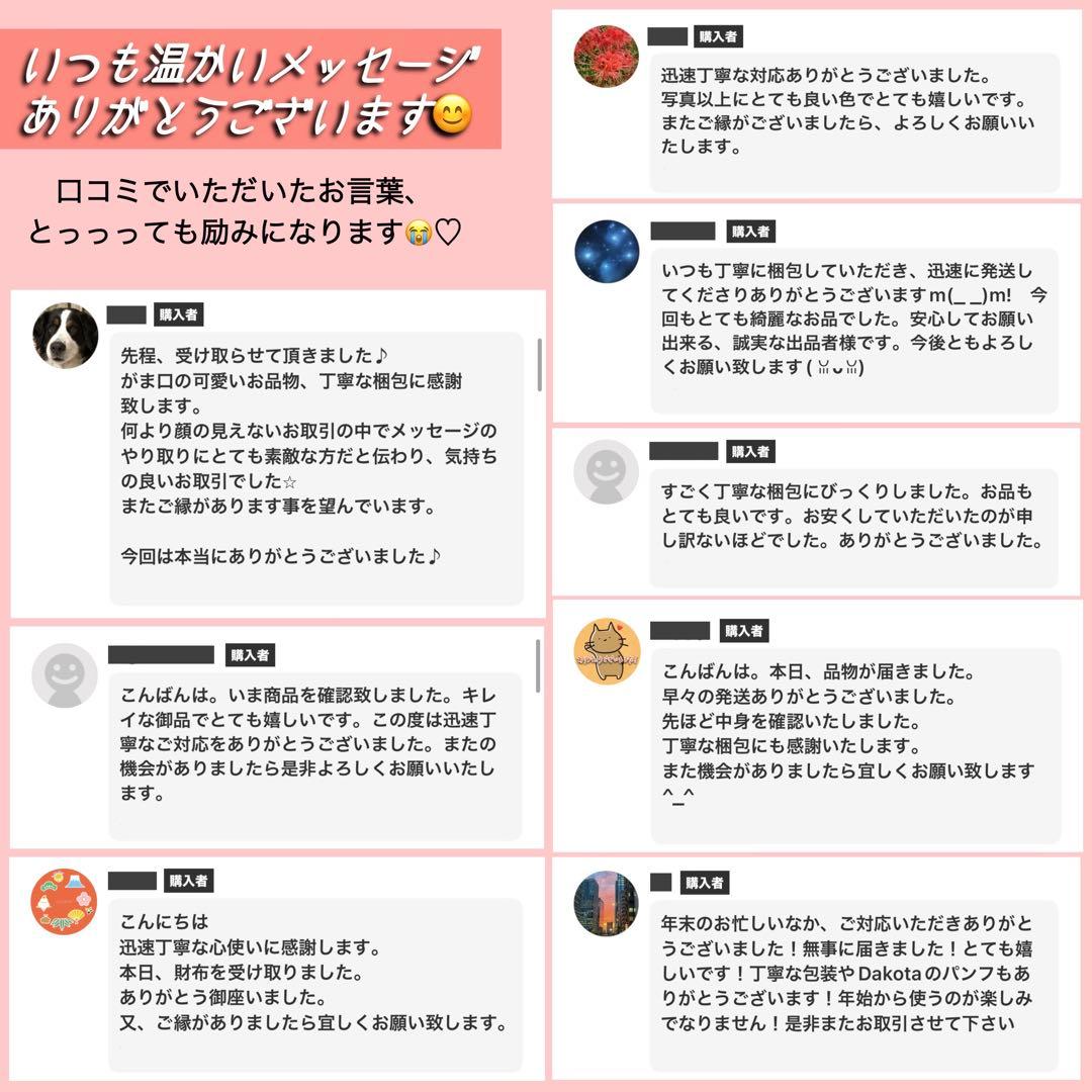 新品未使用✨Dakota ダコタ カロライナお財布ショルダーバッグ本革ウォレット