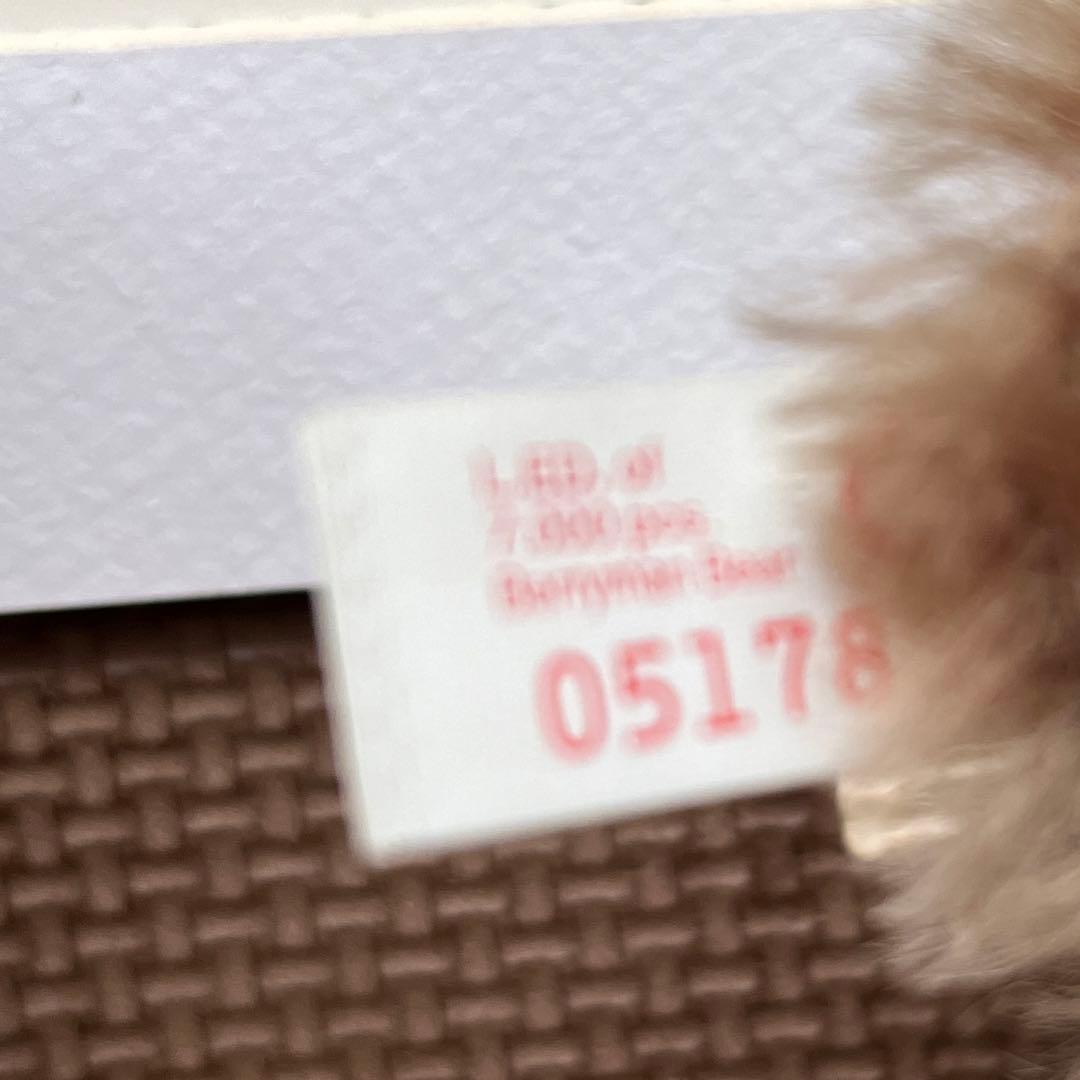 シュタイフ ルーズベルト大統領＆ベア　テディベア　色紙セット