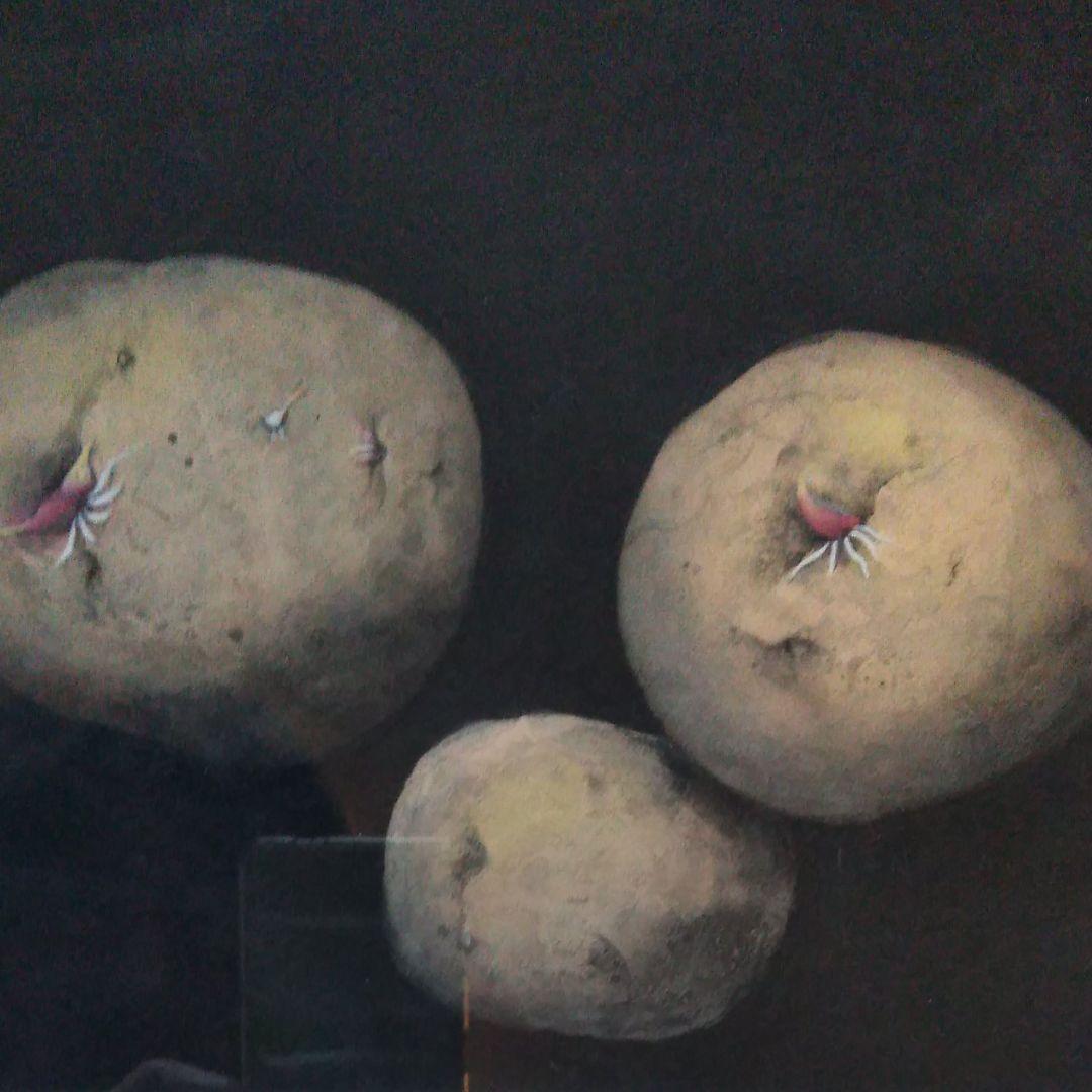 日本画(34)　じゃがいも