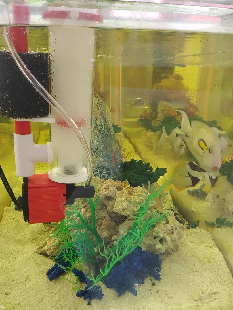 FREE WIND社　プロテインスキマー ハングオンタイプ　300L対応