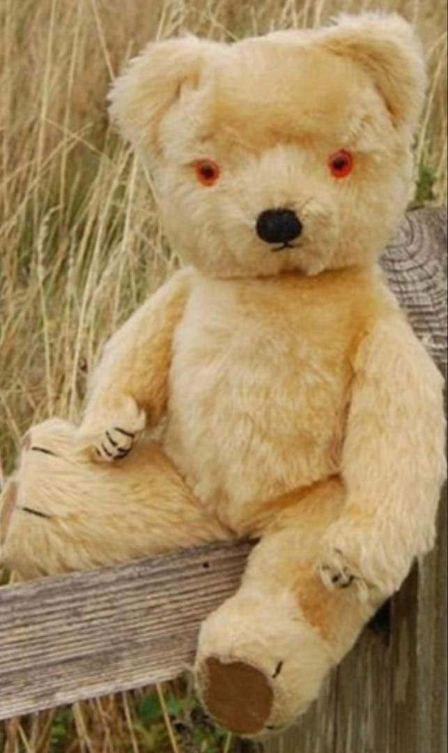 チャドバレー・ベア