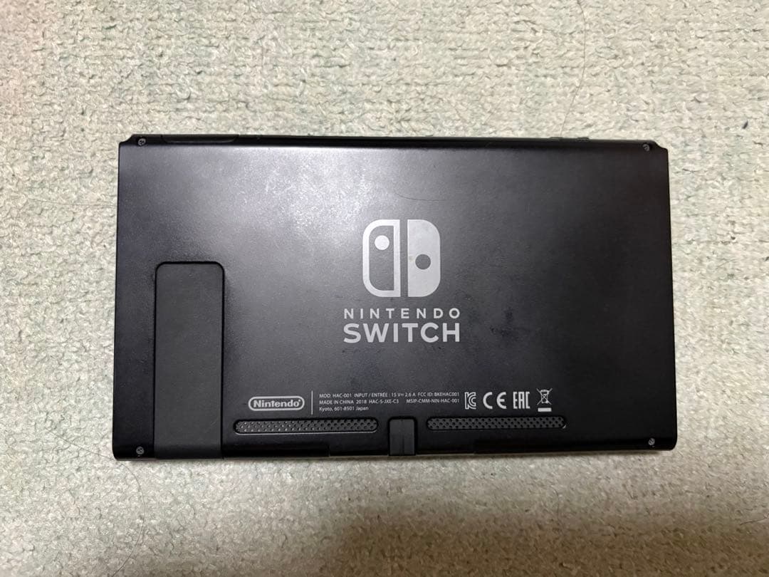 Nintendo Switch 本体 付属品＋Type-Cケーブル