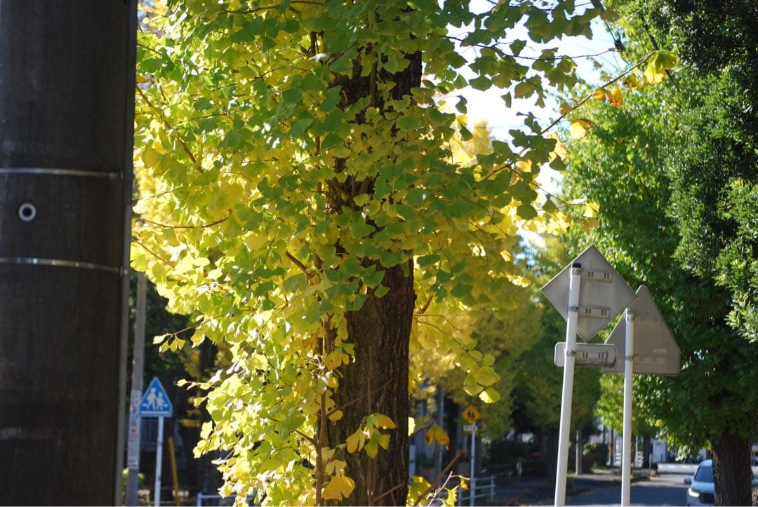 ✨Nikon D40x✨ダブルレンズセット‼️すぐ使える‼️