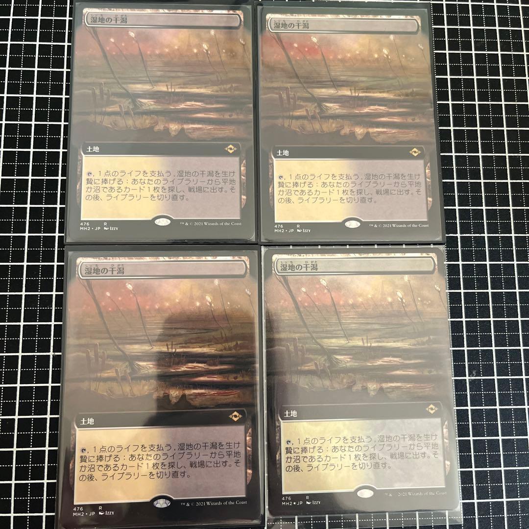 湿地の干潟　拡張3拡張フォイル1