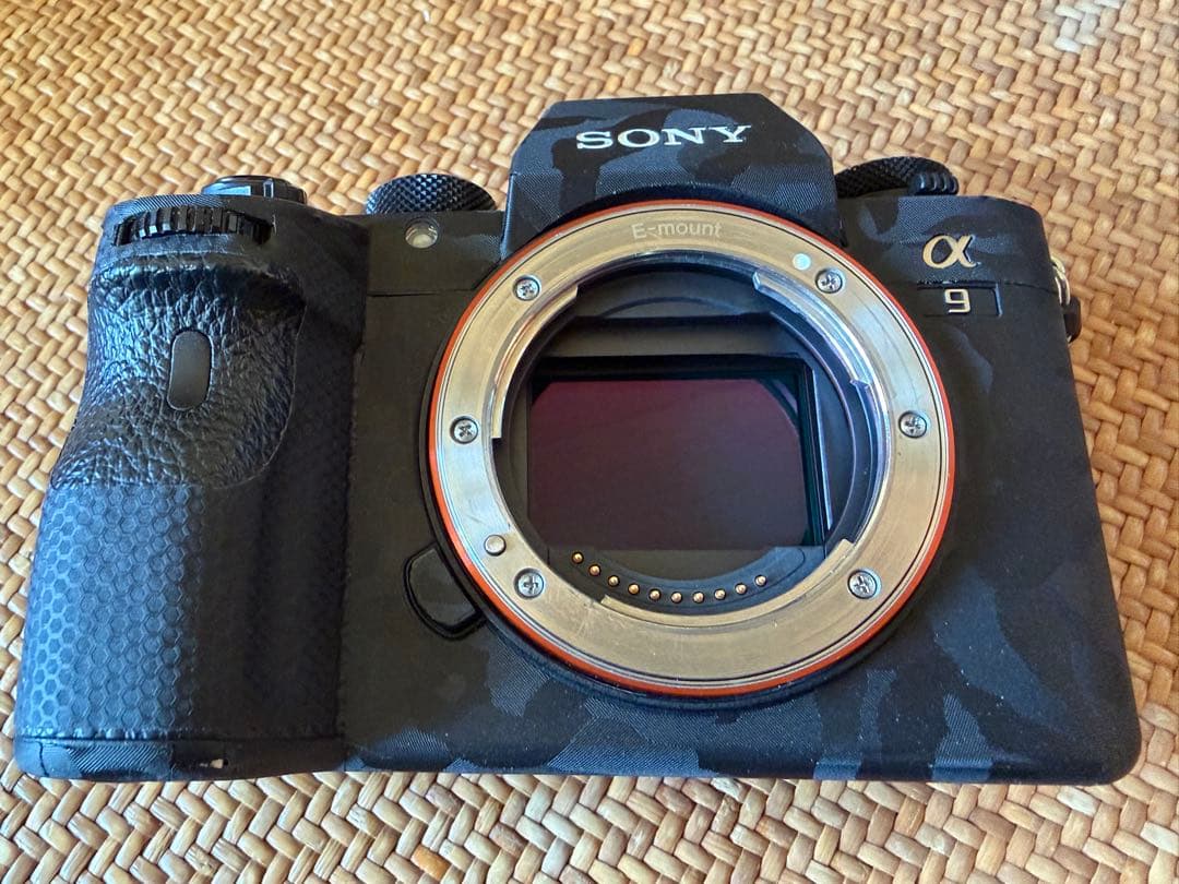 SONY α9
