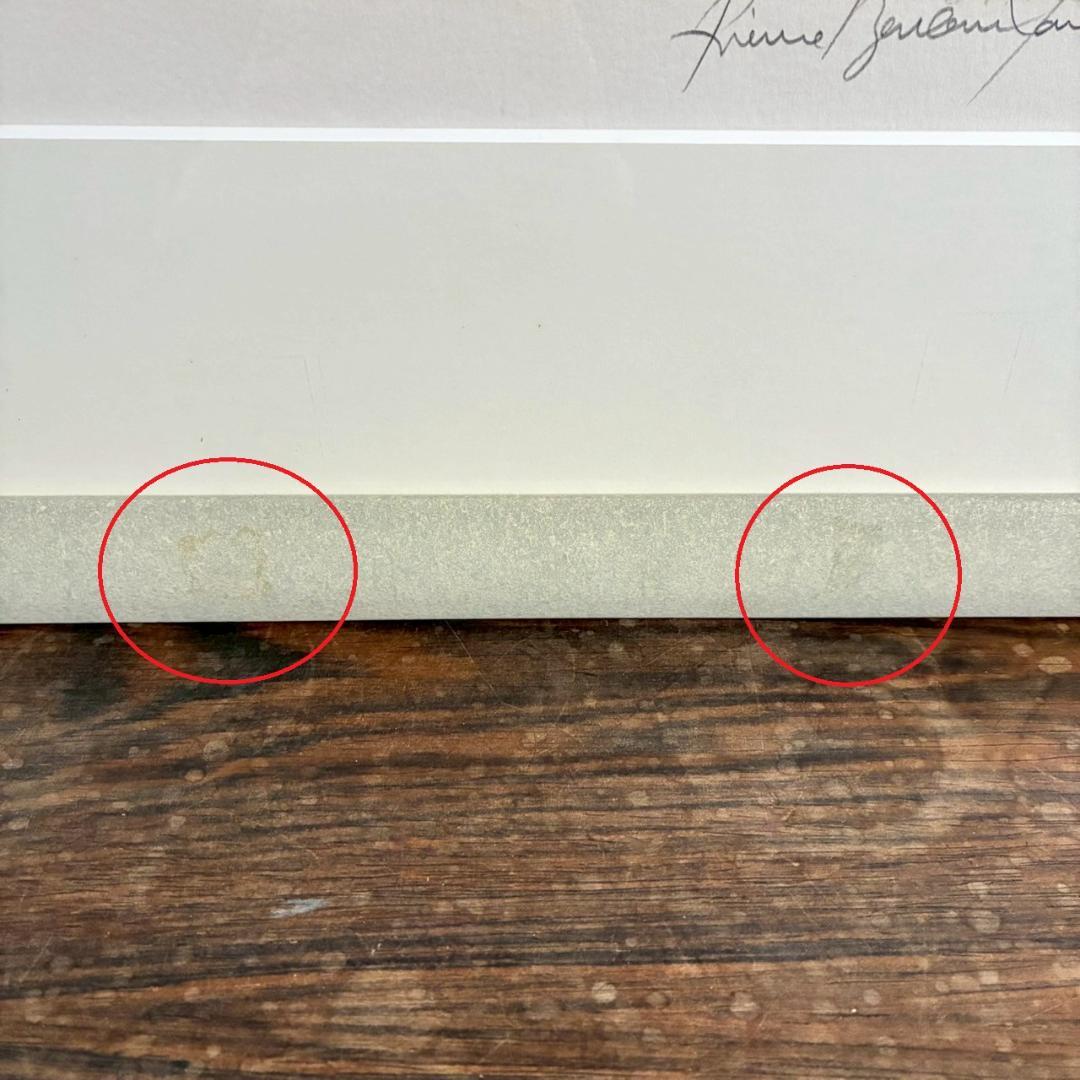 ピエール・ボンコンパン「小さなアネモネ」リトグラフ 直筆サイン入 ギャラリー販売