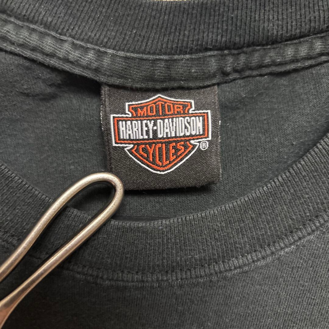 【ヴィンテージ品】USA製コラボ品　サイズL Harley-Davidson