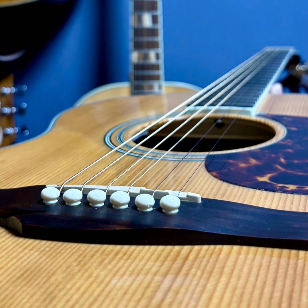 【美品エレアコ】James J500A/ova トップ単板　ソフトケース付き