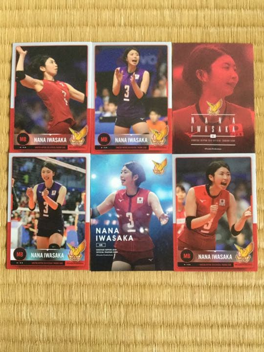 バレーボール日本女子代表 2019 火の鳥NIPPON 岩坂名奈 6枚セット