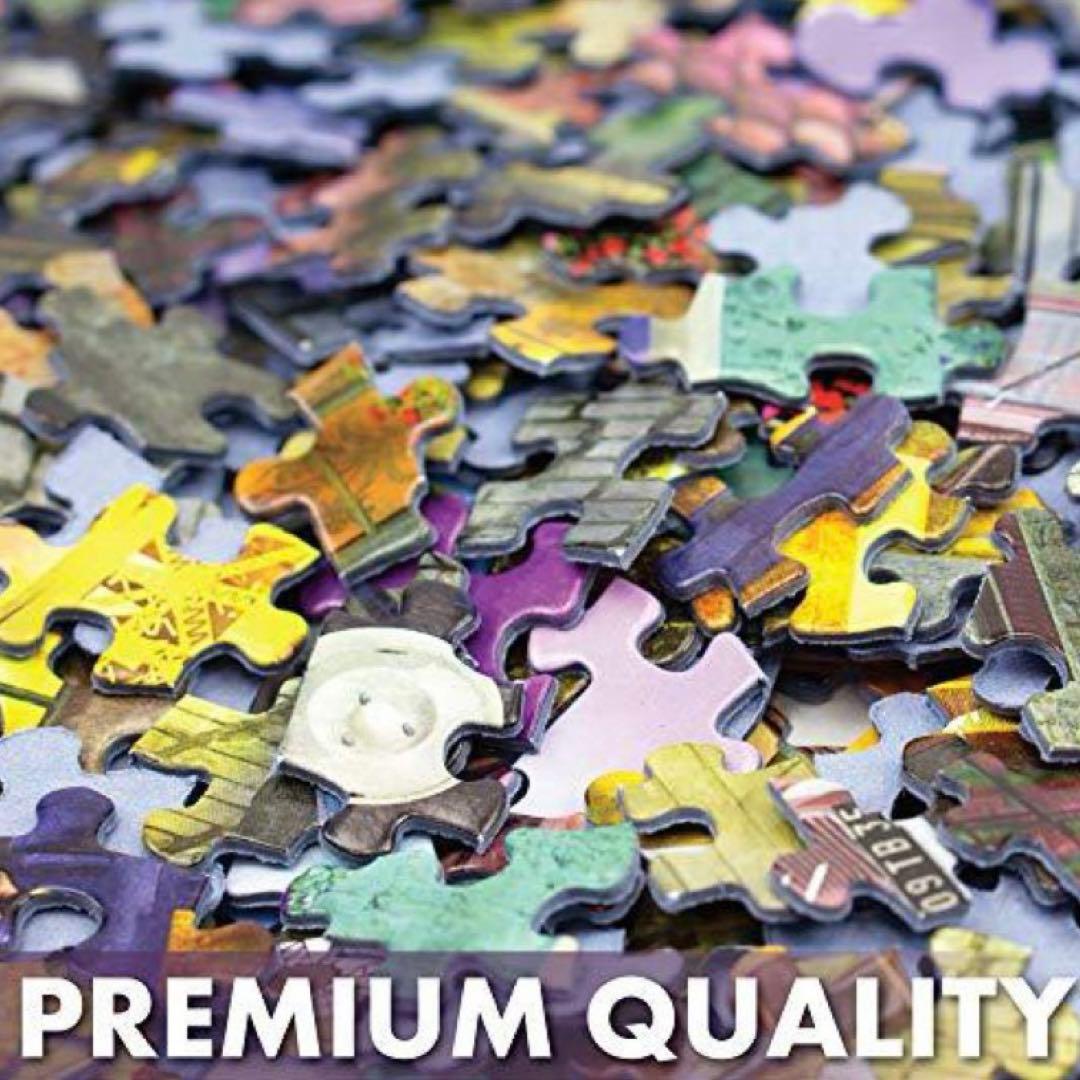 Springbok 500ピース ジグソーパズル バタフライフレンジー  蝶々