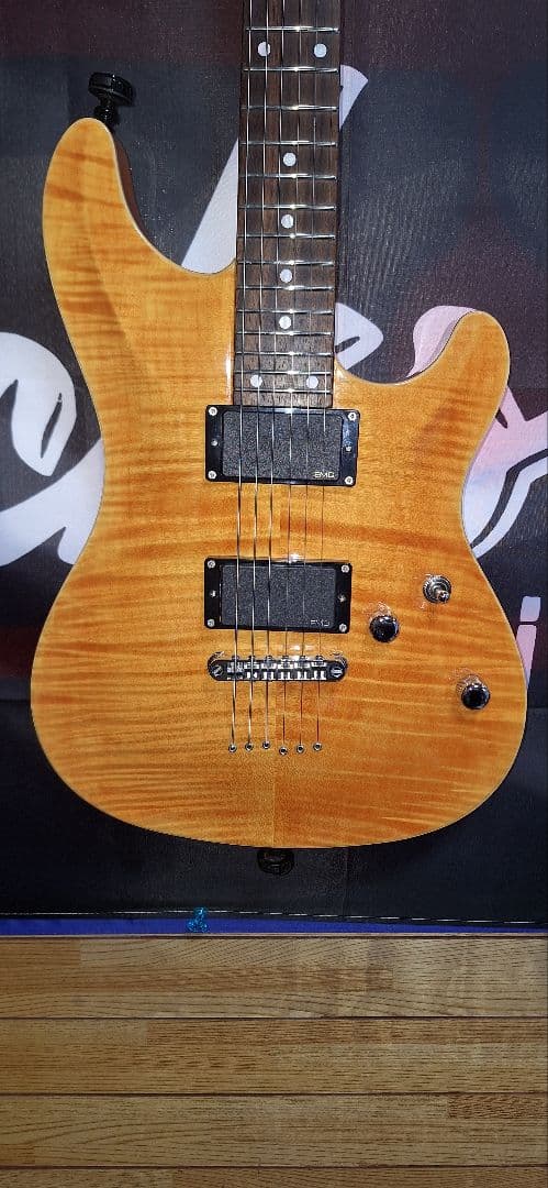 国産SCHECTER RJ-1-24-TOM AMB