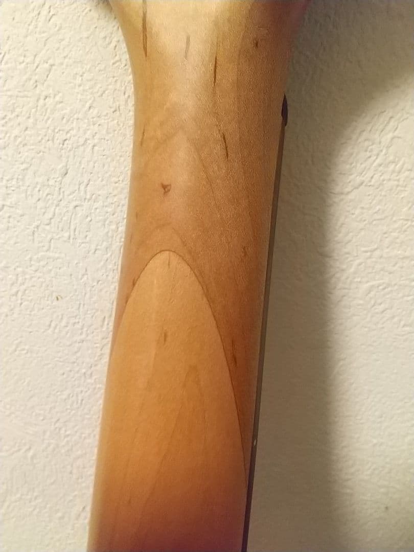 Washburn/win14 エレキギター レスポールタイプ 訳あり完動品