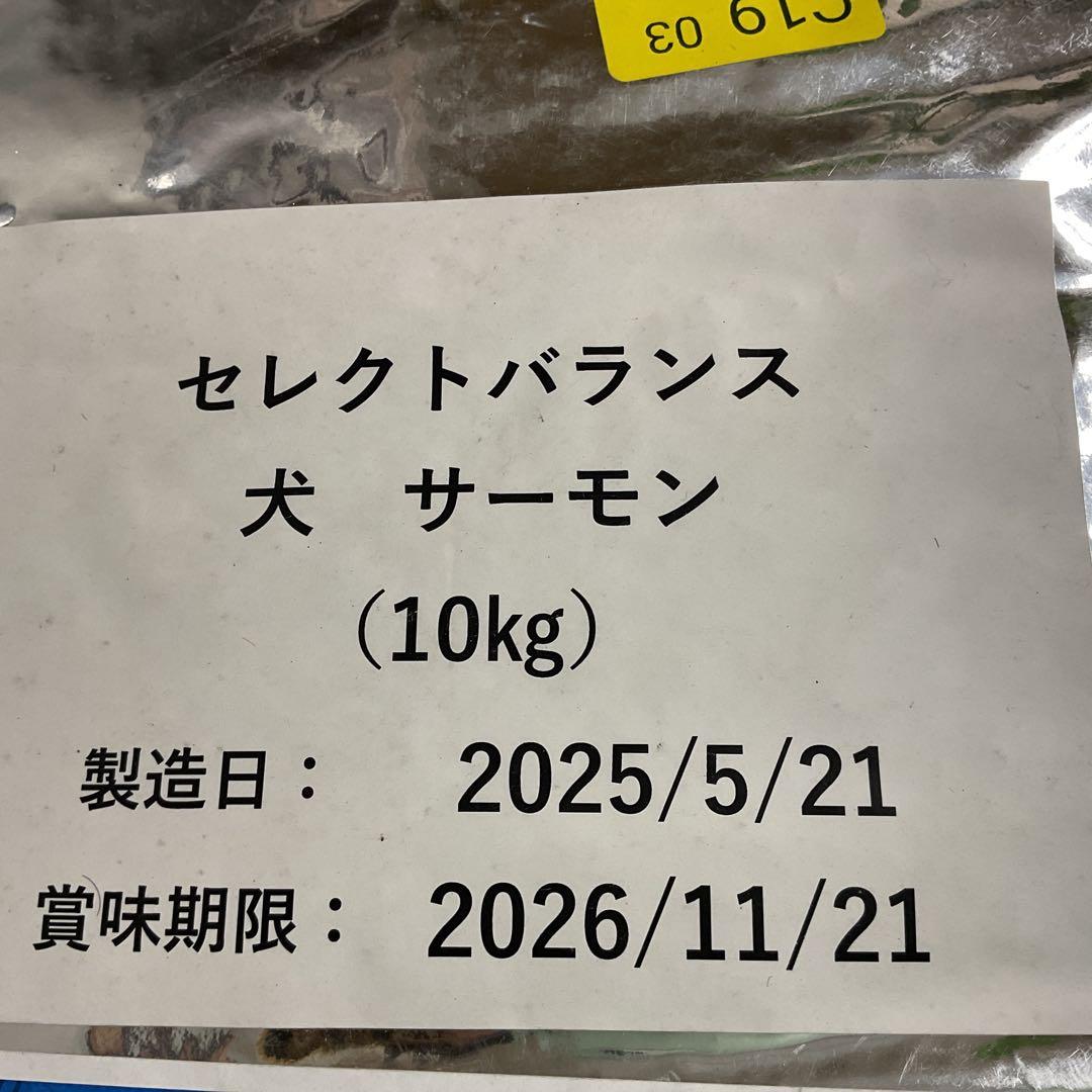 セレクトバランス.グレインフリーサーモン10kg