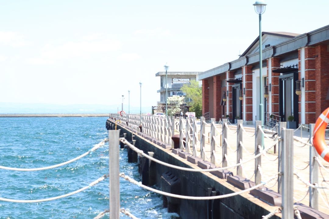 ★ OLYMPUS M-1 + ★ \"M-SYSTEM\" 標準レンズ 50mm