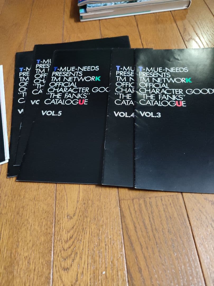 TM NETWORK切抜き、パンフレット、 ファンクラブ会報、グッズTMN