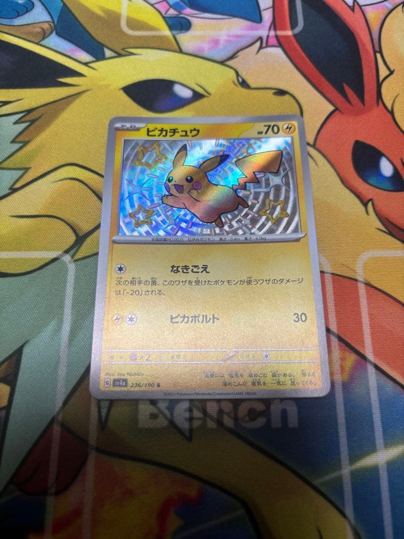 ポケカ ポケモンカード まとめ売り 引退品 約200枚