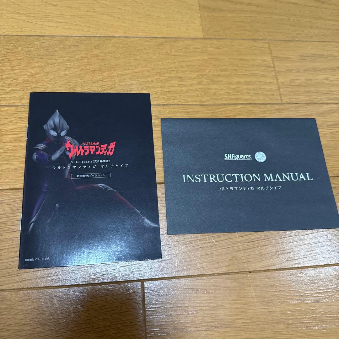 S.H.Figuarts (真骨彫製法) ウルトラマンティガ　イーヴィルティガ