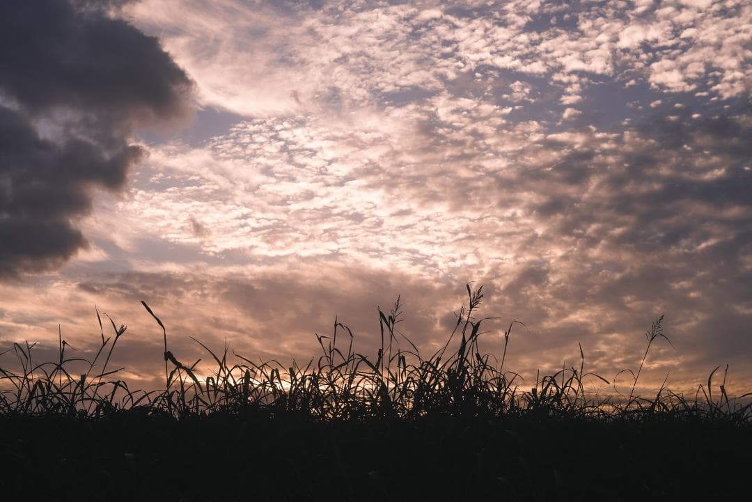 itaru kumona様ライカの癖玉！Leica Summar 50mm f2