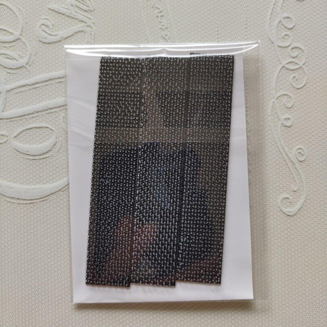 ペスカ　ヘアメイトチャチャ　 ショートタイプ　(ダークブラウン)