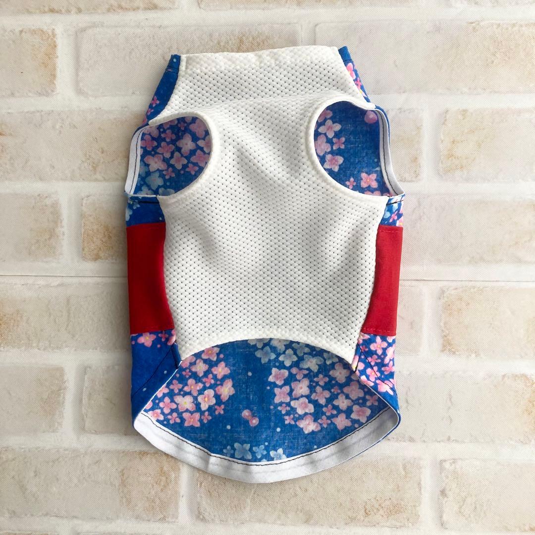 犬服　きのさん