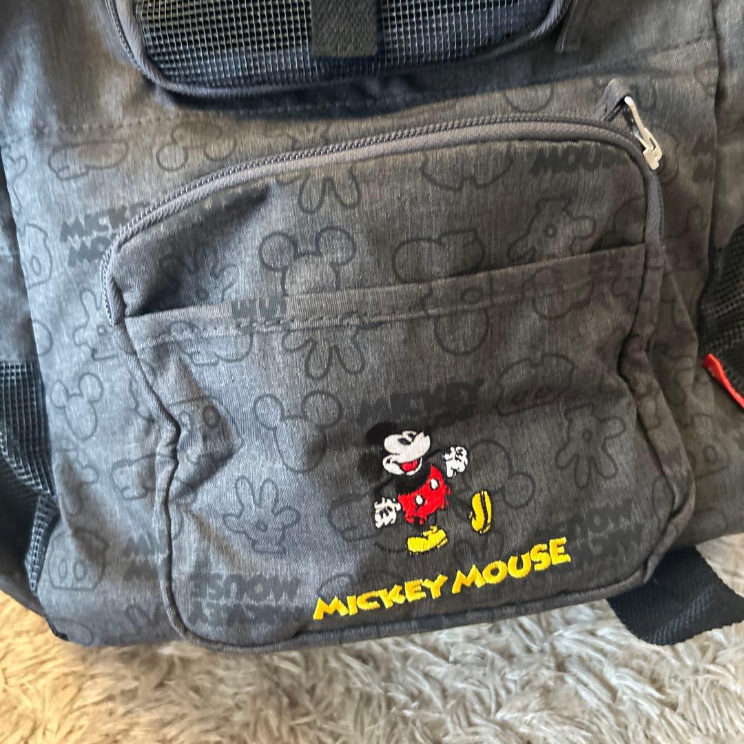 定価13200円　新品未使用　ペットパラダイス　M ペットキャリーリュック