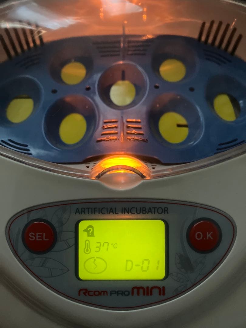 リトルママ 小型人工孵卵器Rcom mini