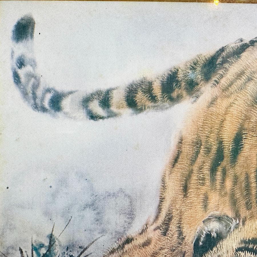 猛虎 寅 絵画 日本画 水彩画 在銘 F6号 額寸縦53cm ✖️ 横41cm