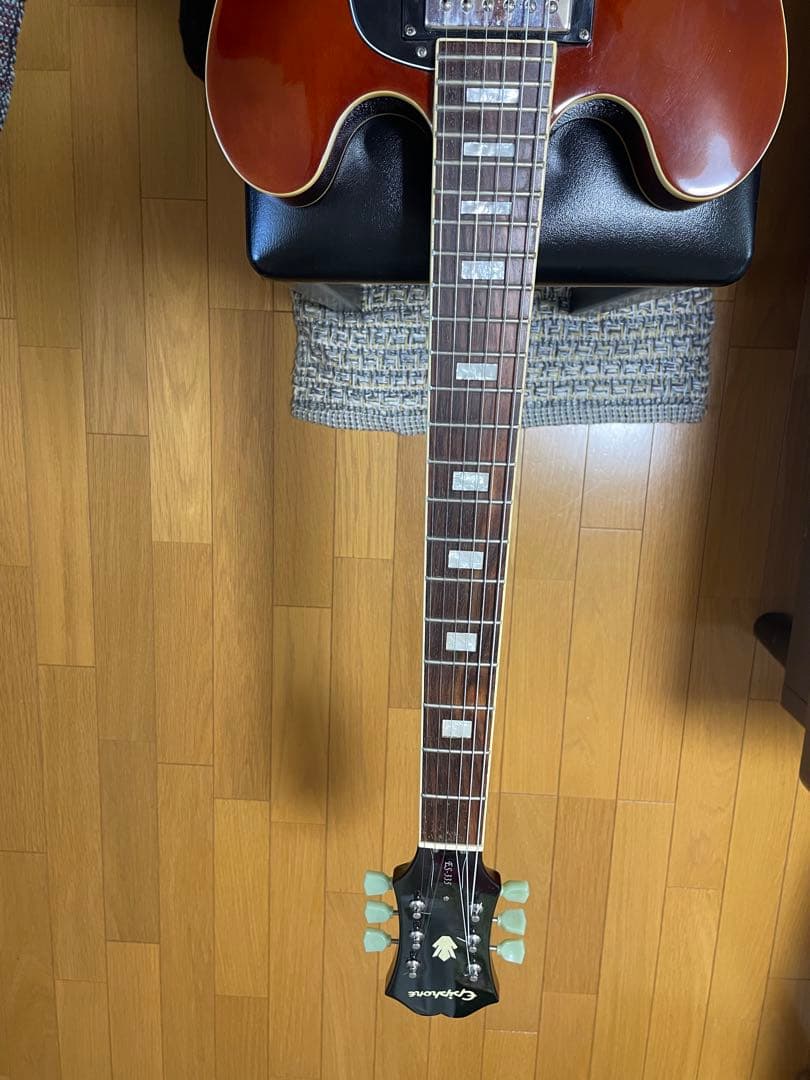 スケアリー！エピフォンES-335カスタムショップ製リミテッドエディション