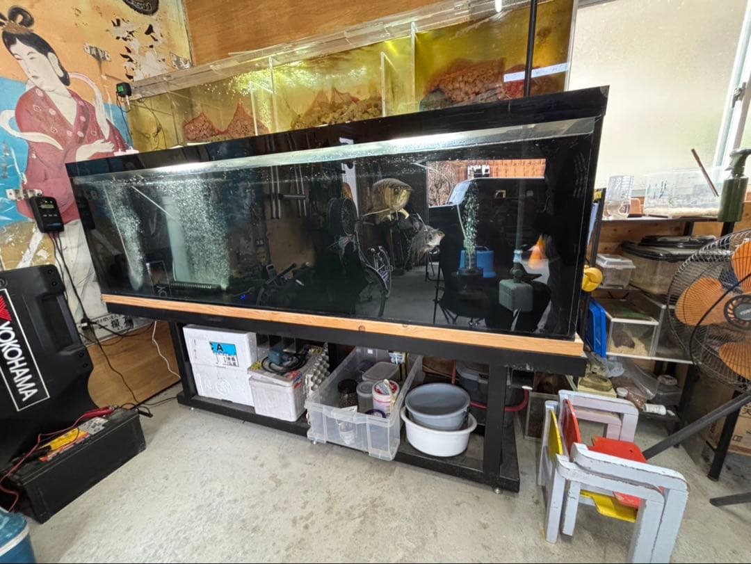 大型水槽セット