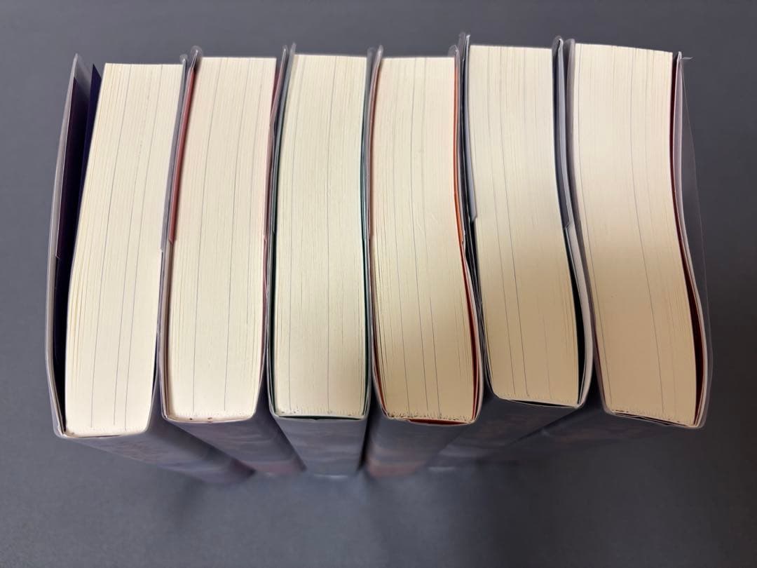 二哈和他的白猫師尊 6巻セット