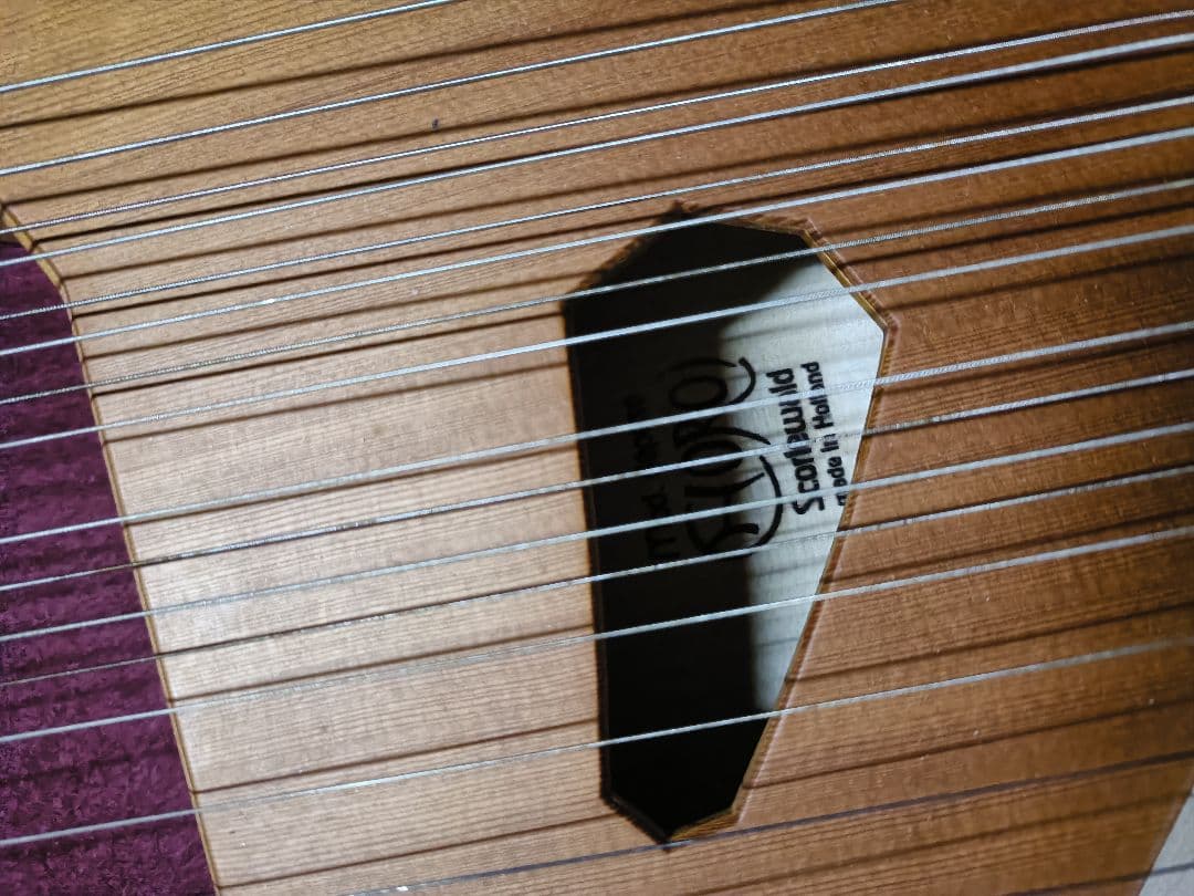 ライアー　ライヤー　35弦　コロイ　choroi　弦楽器　ハープ　竪琴　楽器