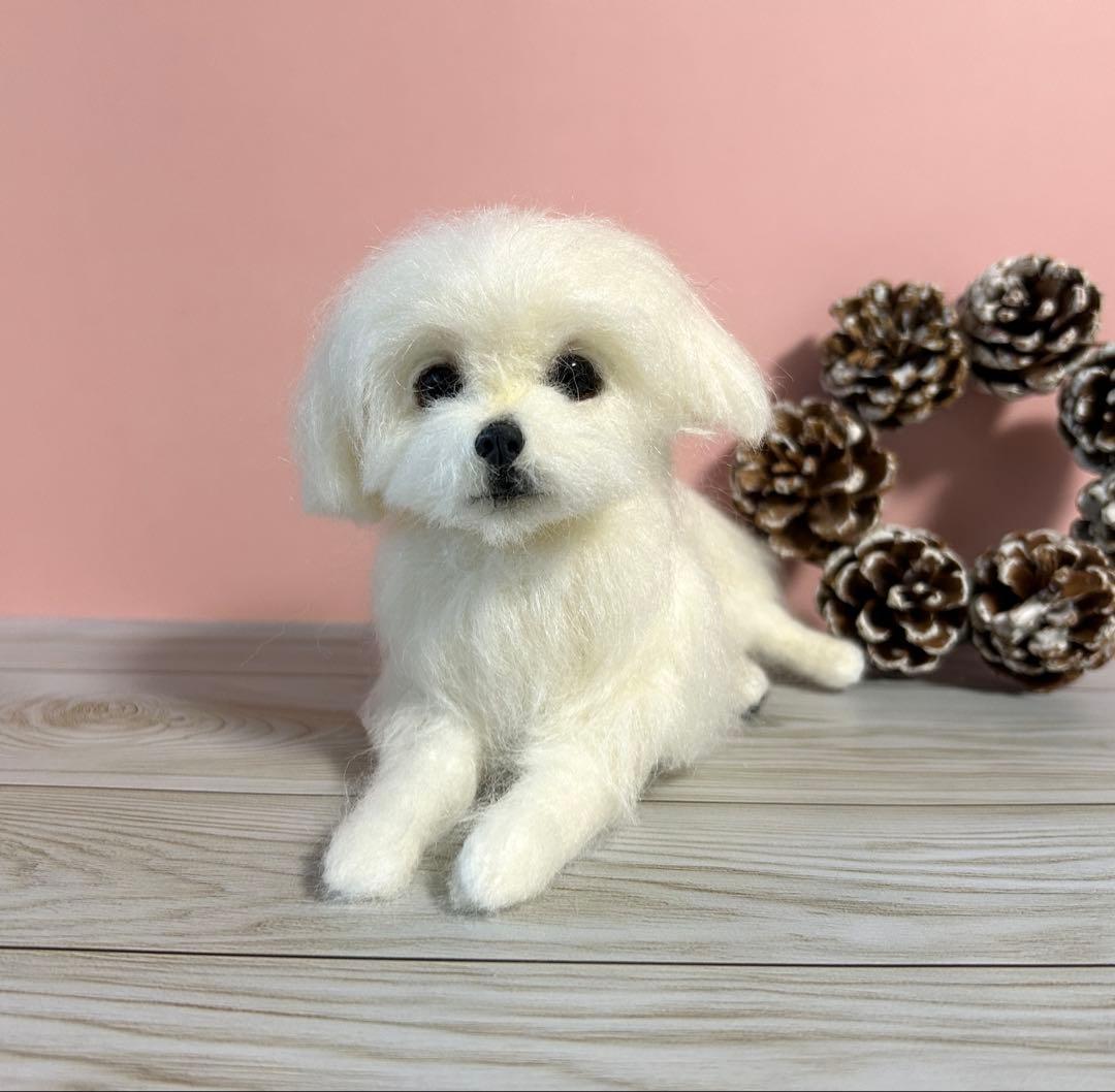 羊毛フェルト　リラックスマルチーズちゃん　12