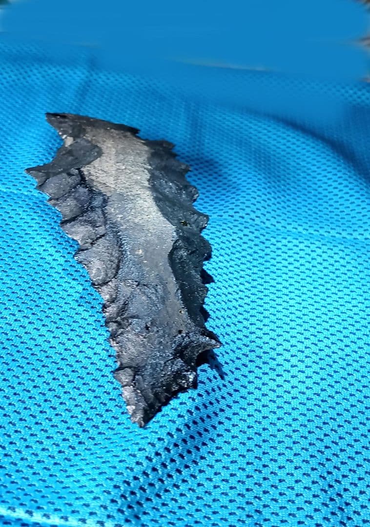 巨大石匙 スクレイパー 360 f 石器 サヌカイト 模写