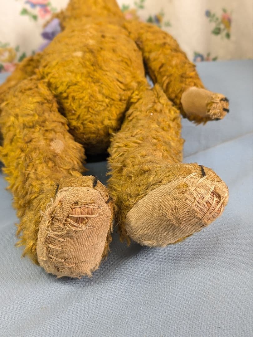 イギリス アンティーク テディベア アンティークベア 35.5cm