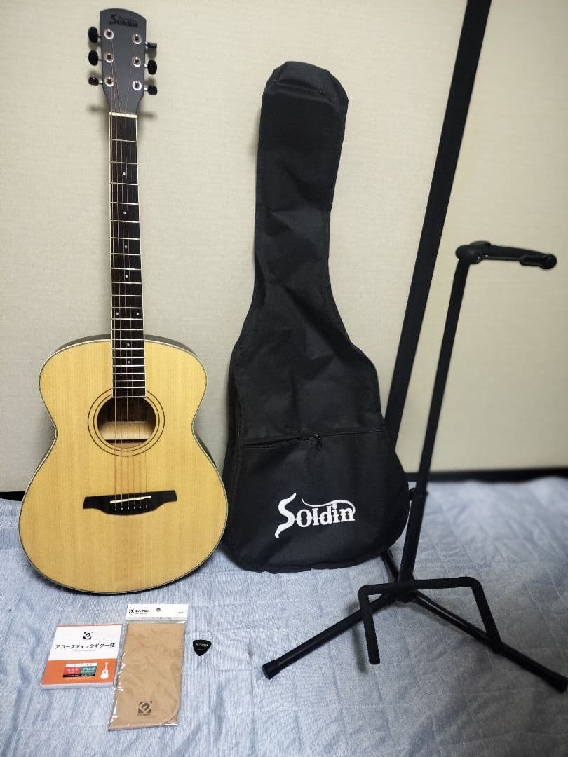 Soldin SFG-15 NAS アコースティックギター