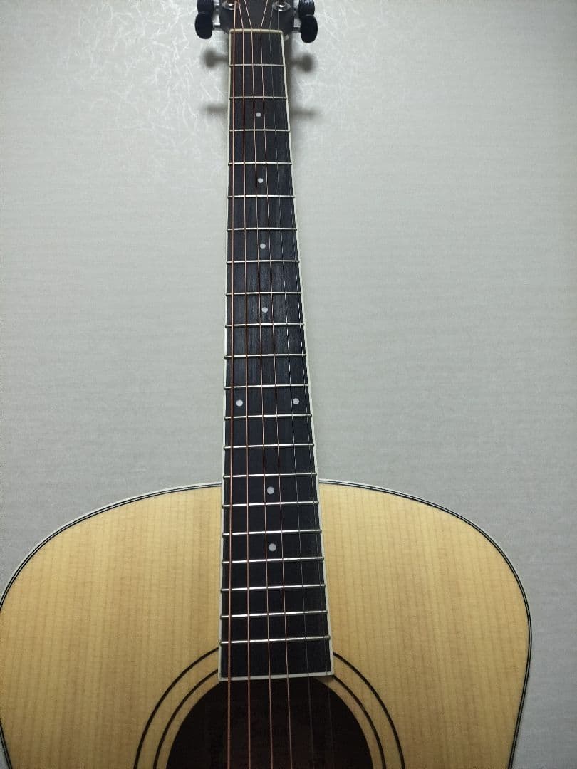 Soldin SFG-15 NAS アコースティックギター