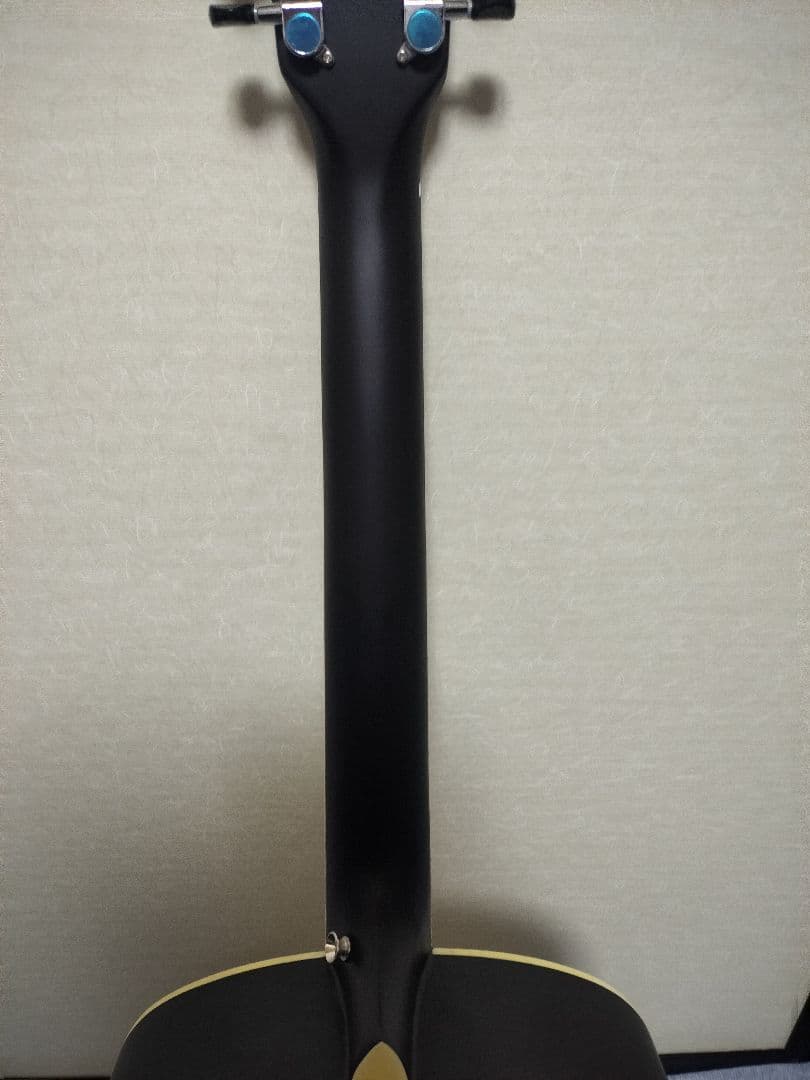 Soldin SFG-15 NAS アコースティックギター