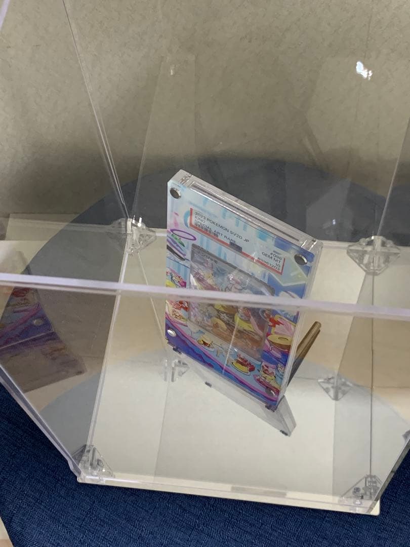 PSA10 ナンジャモ　SAR 専用ケース付き