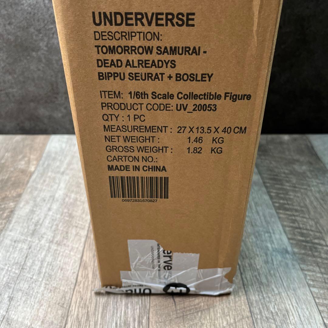 【チェイス】INTERLOPER BIPPU / UNDERVERSE