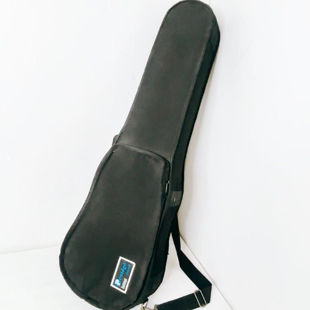 Eastman VL80 4/4　バイオリン 4/4 イーストマン