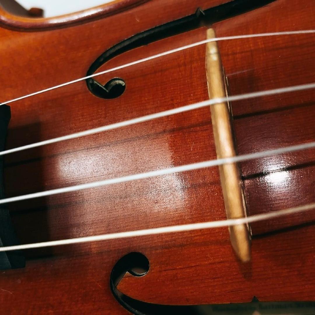 Eastman VL80 4/4　バイオリン 4/4 イーストマン